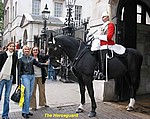 17-horseguard.jpg